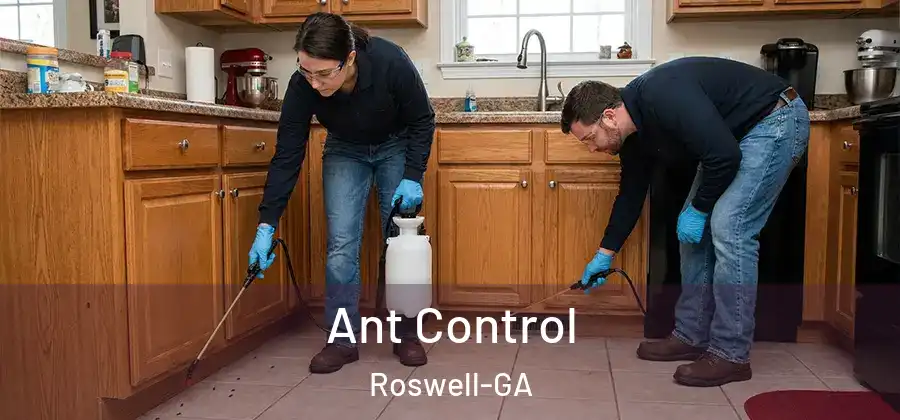 Ant Control Roswell-GA