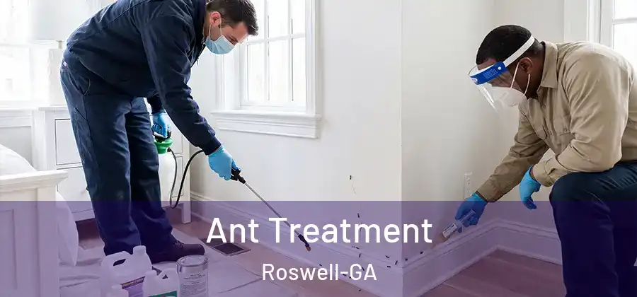 Ant Treatment Roswell-GA