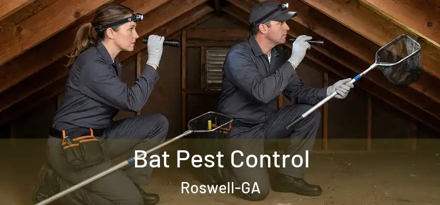 Bat Pest Control Roswell-GA