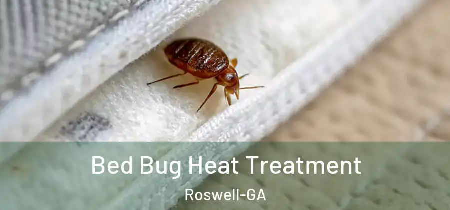 Bed Bug Heat Treatment Roswell-GA
