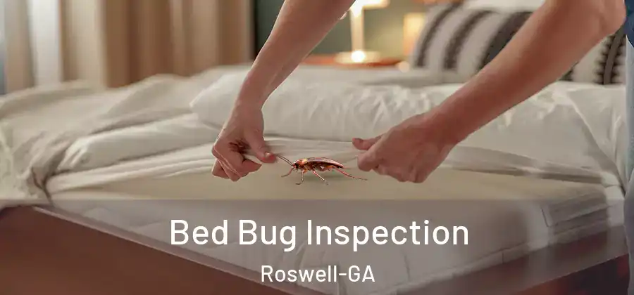 Bed Bug Inspection Roswell-GA