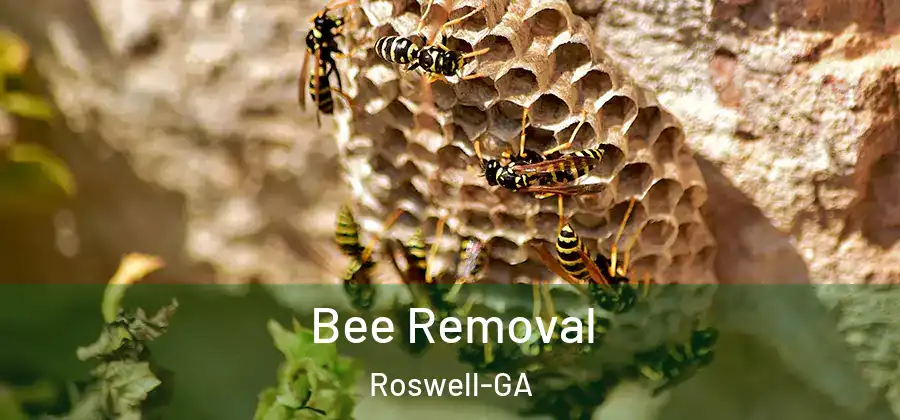 Bee Removal Roswell-GA