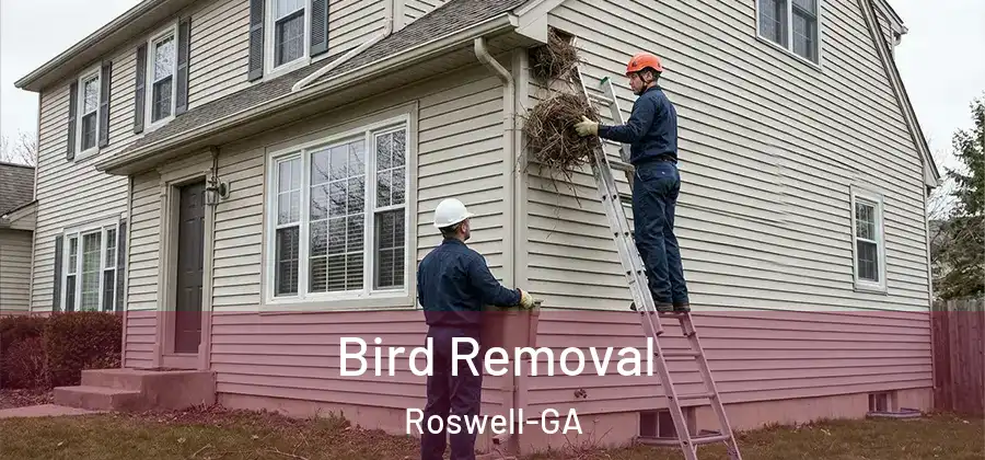 Bird Removal Roswell-GA
