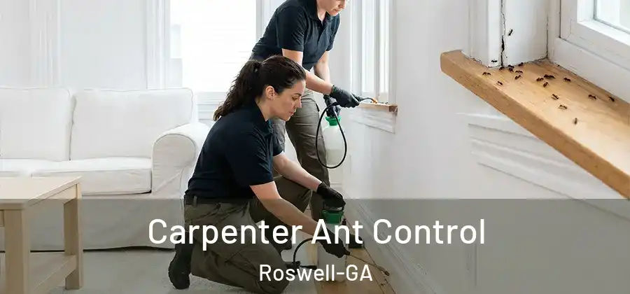 Carpenter Ant Control Roswell-GA