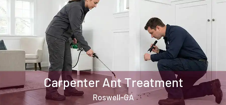 Carpenter Ant Treatment Roswell-GA