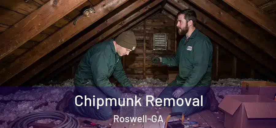 Chipmunk Removal Roswell-GA