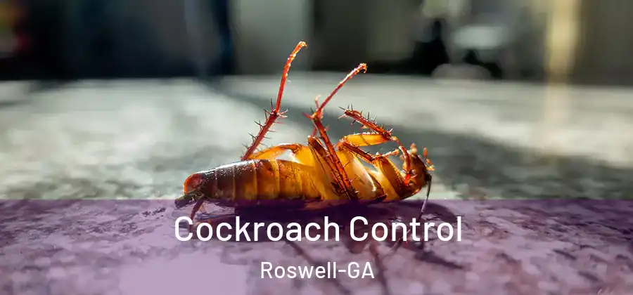 Cockroach Control Roswell-GA