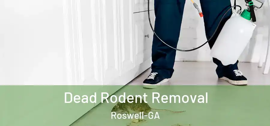 Dead Rodent Removal Roswell-GA