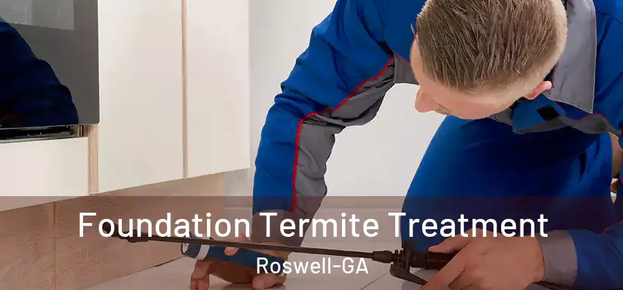 Foundation Termite Treatment Roswell-GA