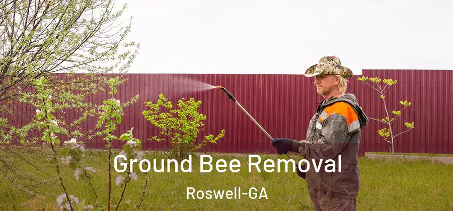  Ground Bee Removal Roswell-GA
