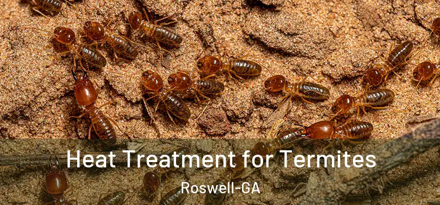 Heat Treatment for Termites Roswell-GA