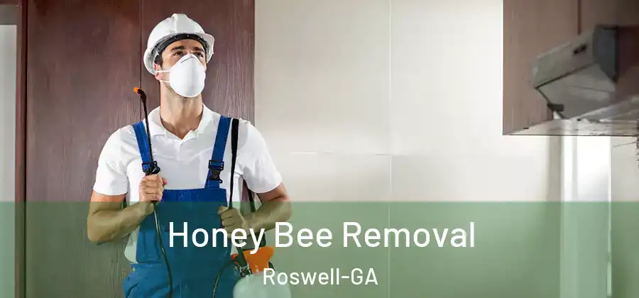 Honey Bee Removal Roswell-GA