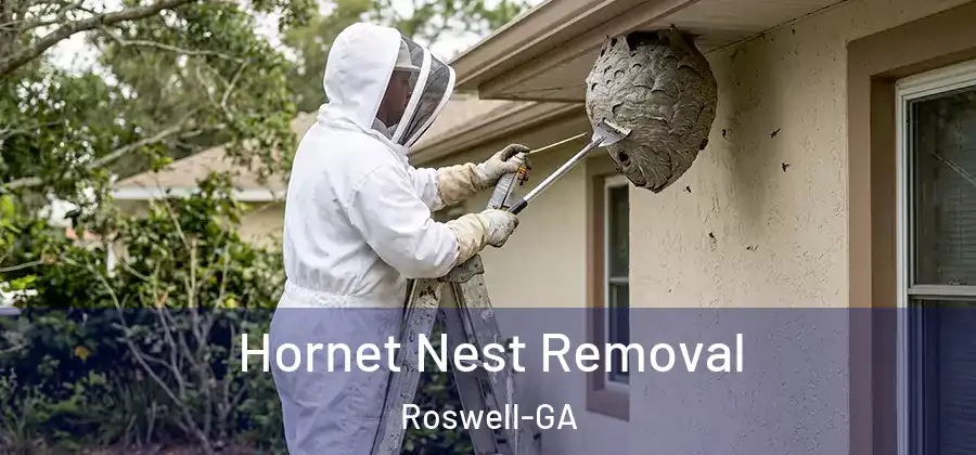Hornet Nest Removal Roswell-GA