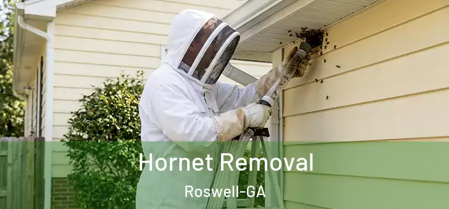 Hornet Removal Roswell-GA