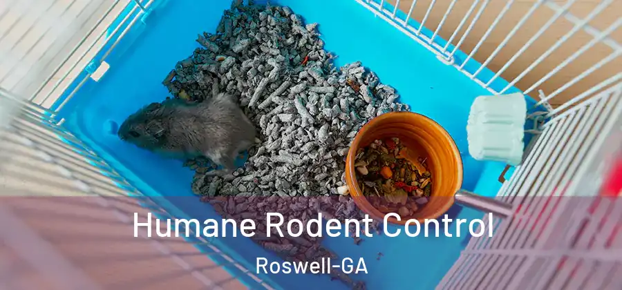 Humane Rodent Control Roswell-GA