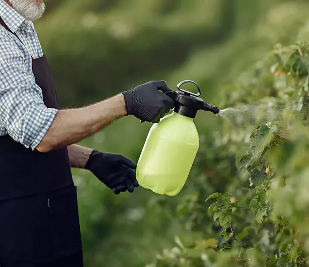 Your Proven Mosquito Treatment Company in Roswell, GA