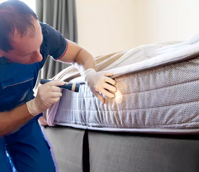 Trusted Bed Bug Cost Experts in Roswell, GA