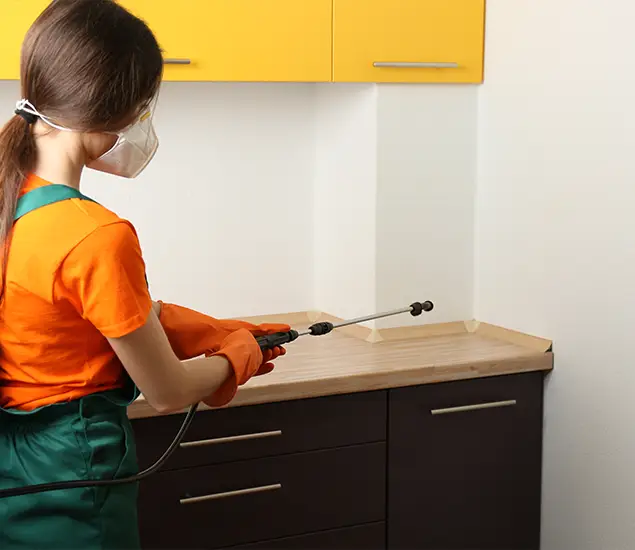 Trusted Bed Bug Pest Control Specialist in Roswell, GA