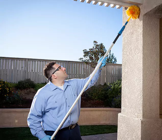 Trusted Experts in Roswell GA for Formosan Termite Treatment and Black Termite Control