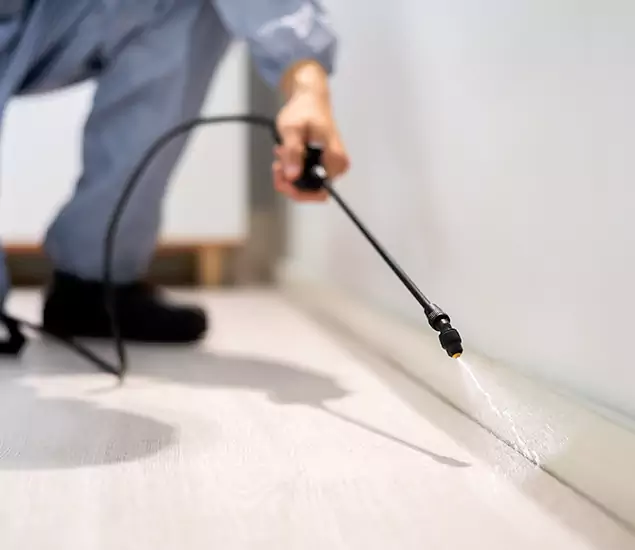 About Our Liquid Termite Treatment Experts in Roswell, GA