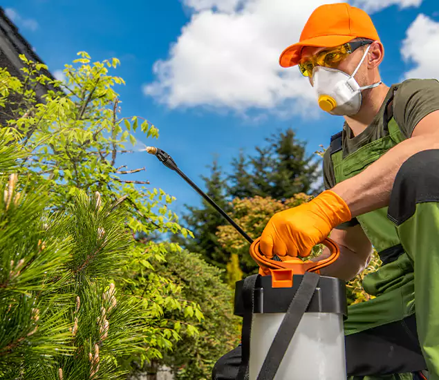 Your Mosquito Repellent Barrier Service in Roswell, GA