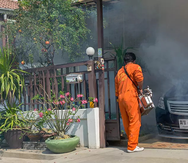 Your Proven Mosquito Fogging Company in Roswell, GA