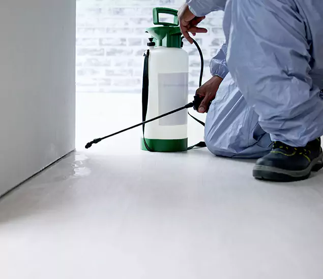 Affordable Pest Control Experts in Roswell, GA