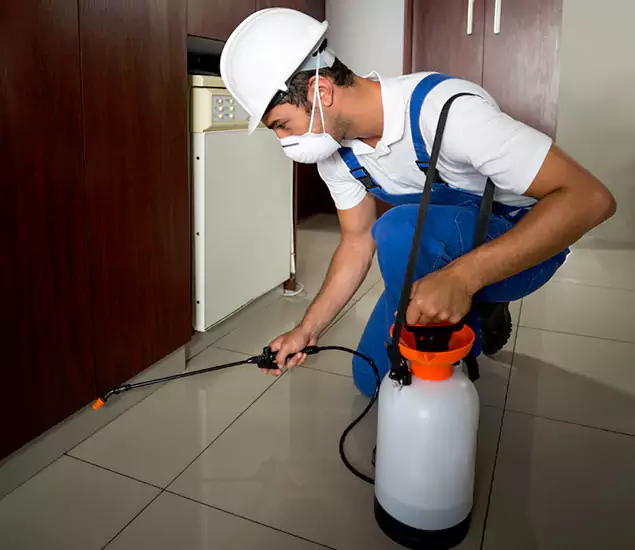 Advanced Termite Pre Treatment Experts in Roswell, GA