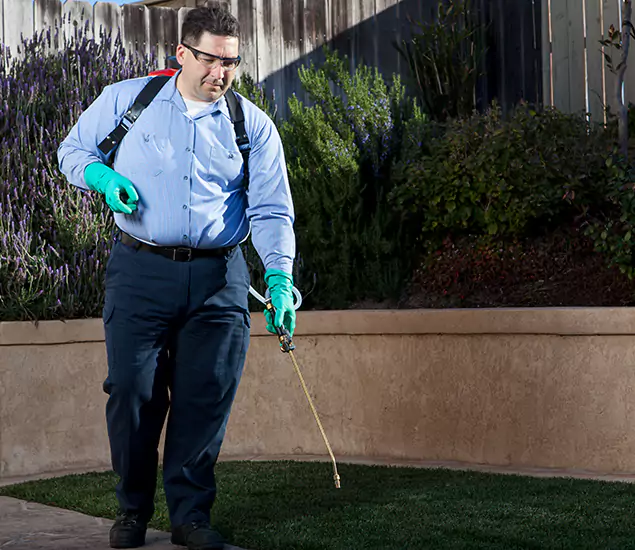 Reliable Termite Barrier Treatment Experts in Roswell, GA