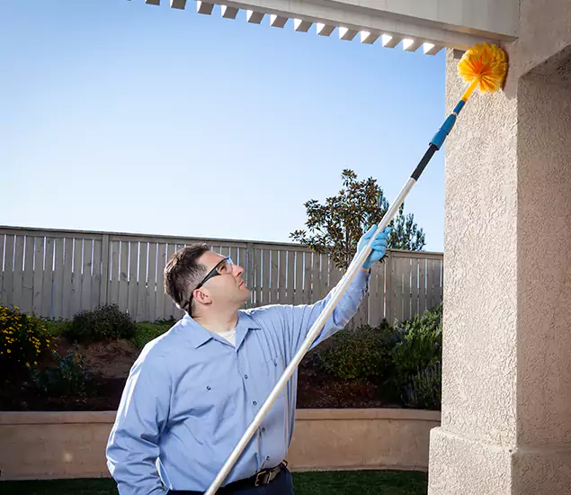 Your Trusted Wasp Removal Company in Roswell, GA