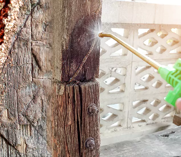 About Wood Termite Treatment Services in Roswell, GA