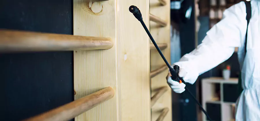 Attic Wood Termite Treatment in Roswell