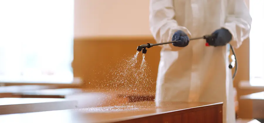 Residential Bed Bug Treatment Option in Roswell