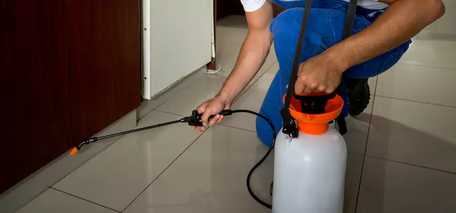 Indoor Mosquito Treatment in Roswell