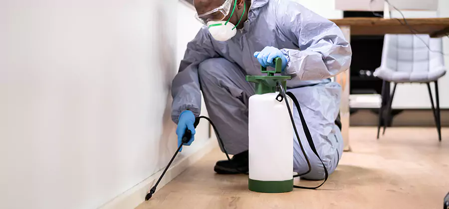 Long Lasting Mosquito Treatment in Roswell
