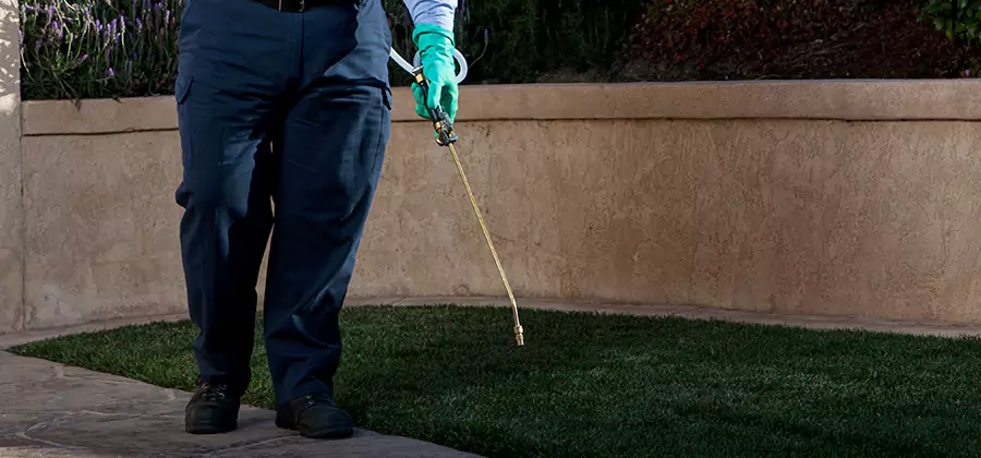 Soil Treatment for New Construction Termites in Roswell