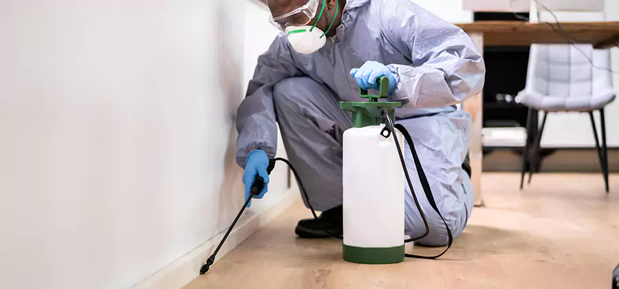 No Tent Termite Extermination With Electric Tool in Roswell
