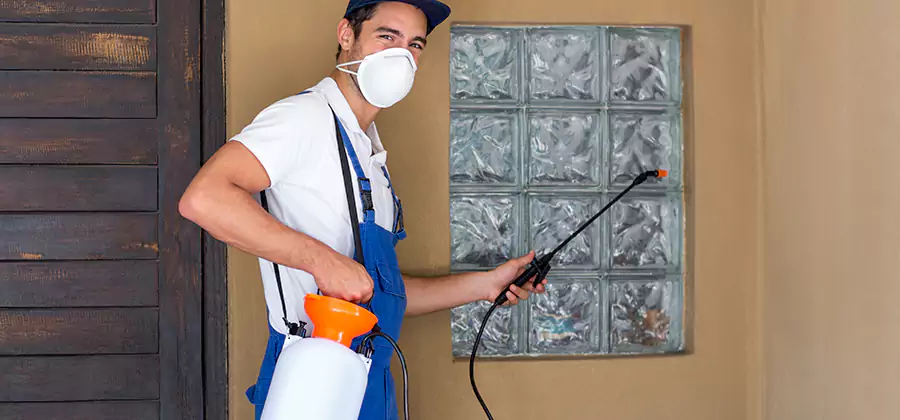 Pre-Construction Termite Treatment in Roswell
