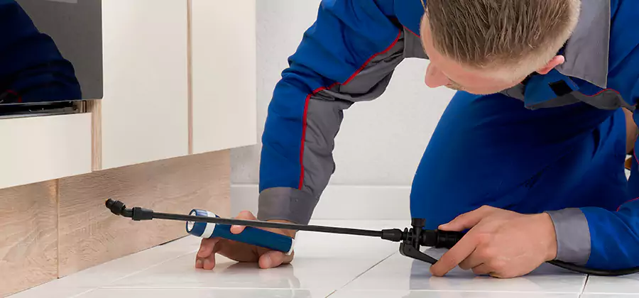 Moisture Treatment For Termite Control Service in Roswell