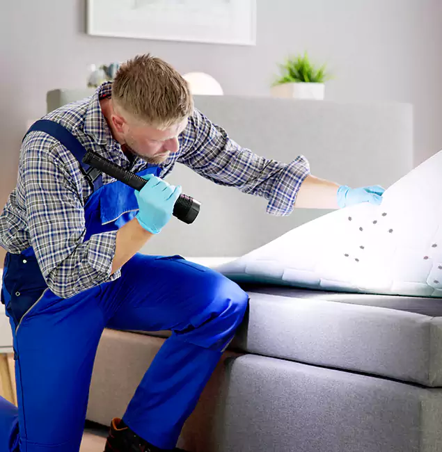 Why Choose Roswell Pest Control Pros For Bed Bug Heat Treatment in Roswell, GA?