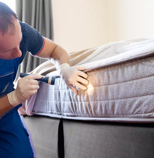 Why Choose Roswell Pest Control Pros for Bed Bug Services in Roswell, GA?