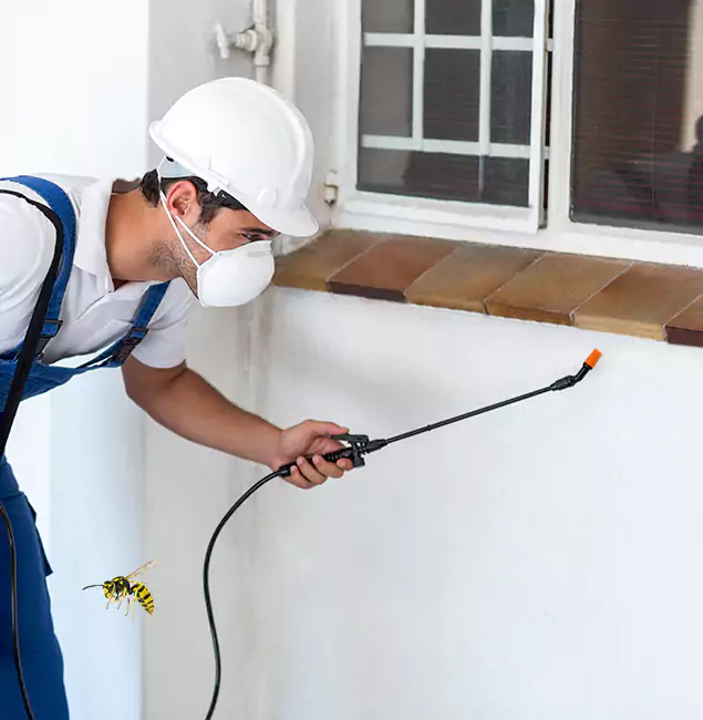 Why Roswell Property Owners Choose Roswell Pest Control Pros for Bee Nest Removal?