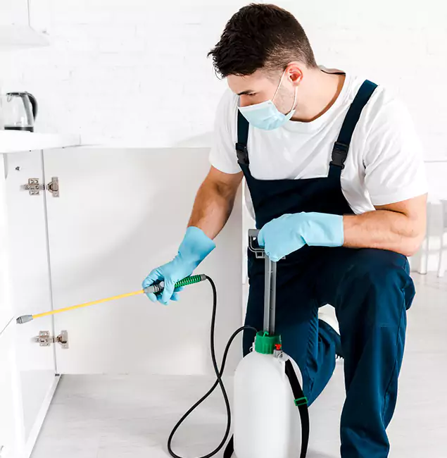 Why Choose Roswell Pest Control Pros for Emergency Pest Control in Roswell?