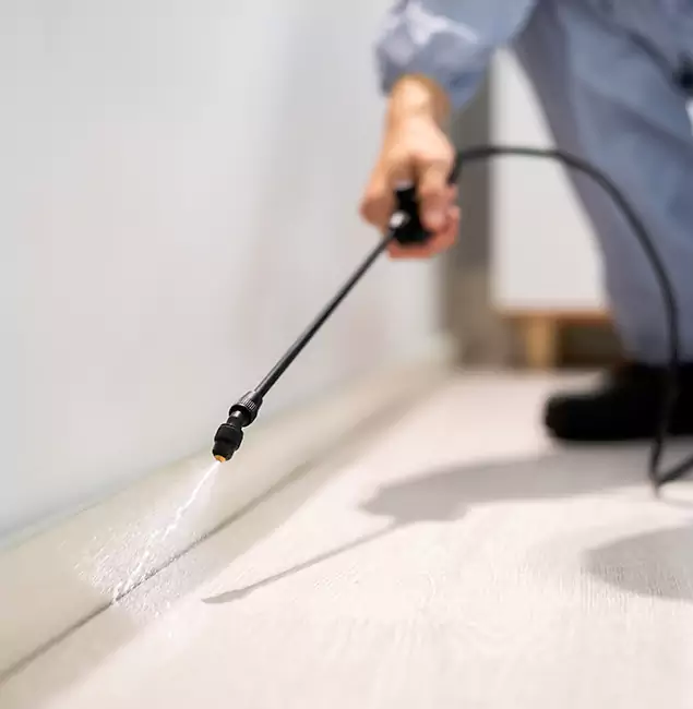 Why Choose Roswell Pest Control Pros for Termite Treatment in Roswell, GA?
