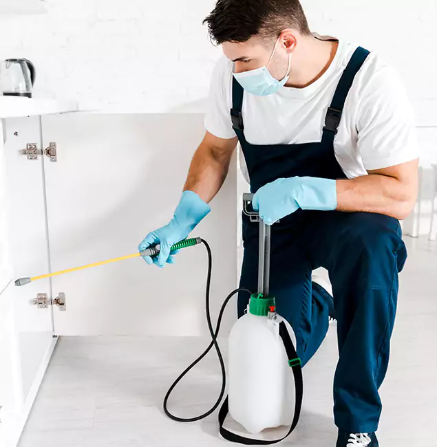 Why Choose Roswell Pest Control Pros for Indoor Pest Control in Roswell, GA?