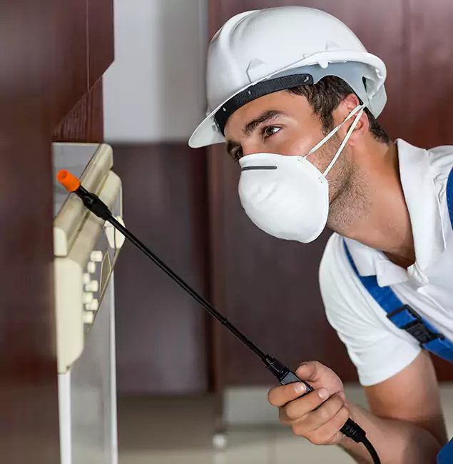 Why Roswell Homeowners Rely on Roswell Pest Control Pros for Tick Treatment?