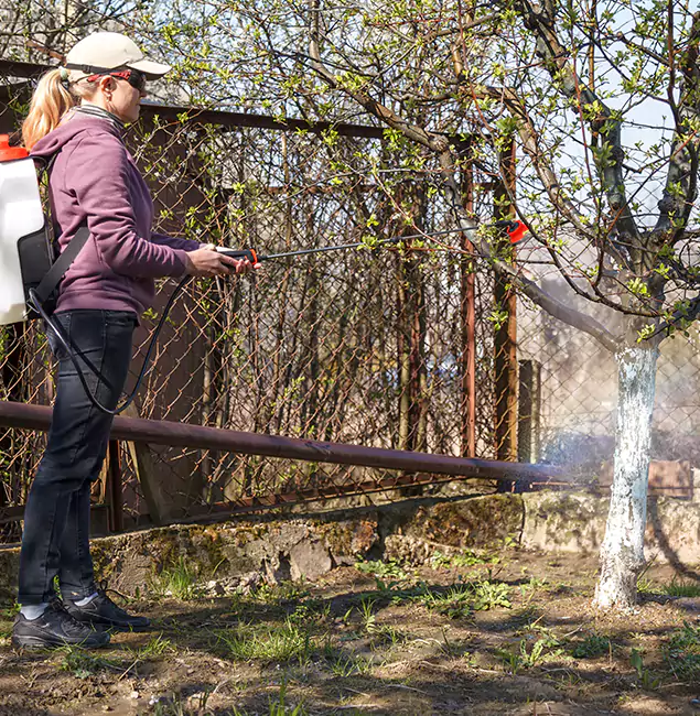 Why Roswell Homeowners Choose Roswell Pest Control Pros for Mosquito Abatement?