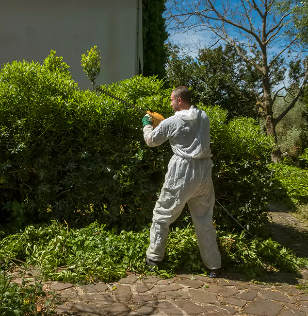 Why Roswell Pest Control Pros Leads Mosquito Control in Roswell, GA?