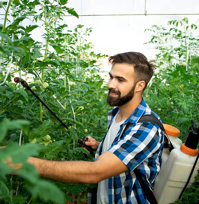 Why Roswell Homeowners Choose Roswell Pest Control Pros for Mosquito Spraying?