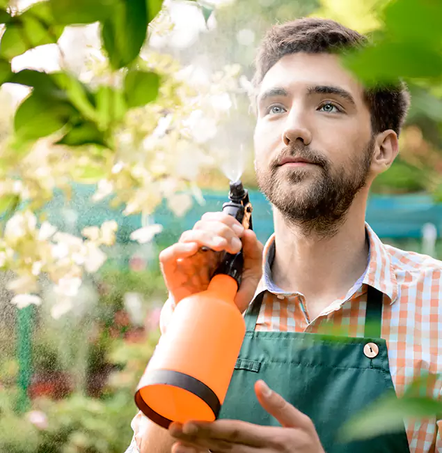 Why Roswell Homeowners Call Roswell Pest Control Pros for Mosquitoes in House?